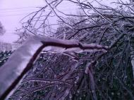 Лід в Гуничах