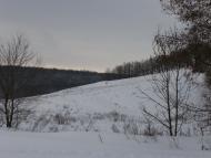 Сільські краєвиди