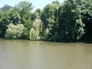 Моє рідне село