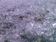 Лід в Гуничах