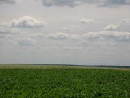 Кацмазов - Последние фото