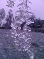 Лід в Гуничах