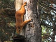 Природа мого села