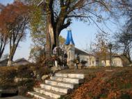 БРИНЬ приймає гостей