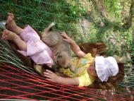 Моє рідне село