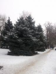 наш поселок