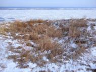 Фотогалерея 'ЗОРІ ВИТИЧ'