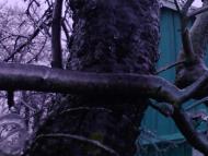 Лід в Гуничах