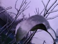 Лід в Гуничах