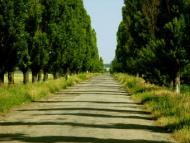 село Новоандріївка