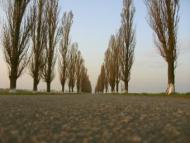 село Новоандріївка