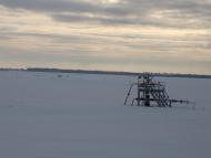 Сільські краєвиди