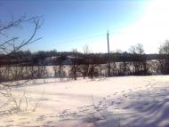 Василиха - Останні фото