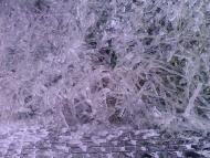 Лід в Гуничах