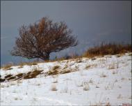 Жизнь и быт села