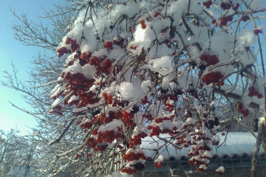 Жовнино - Жовнине