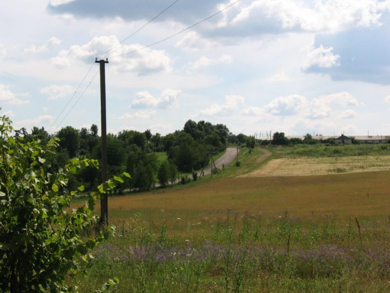 Лука 2005 - Лука-Молчанская