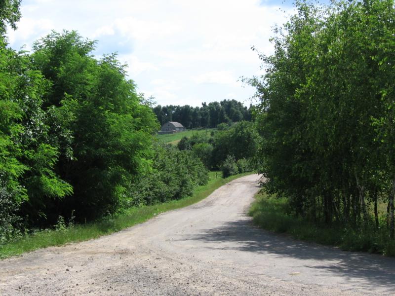 Лука 2005 - Лука-Молчанская