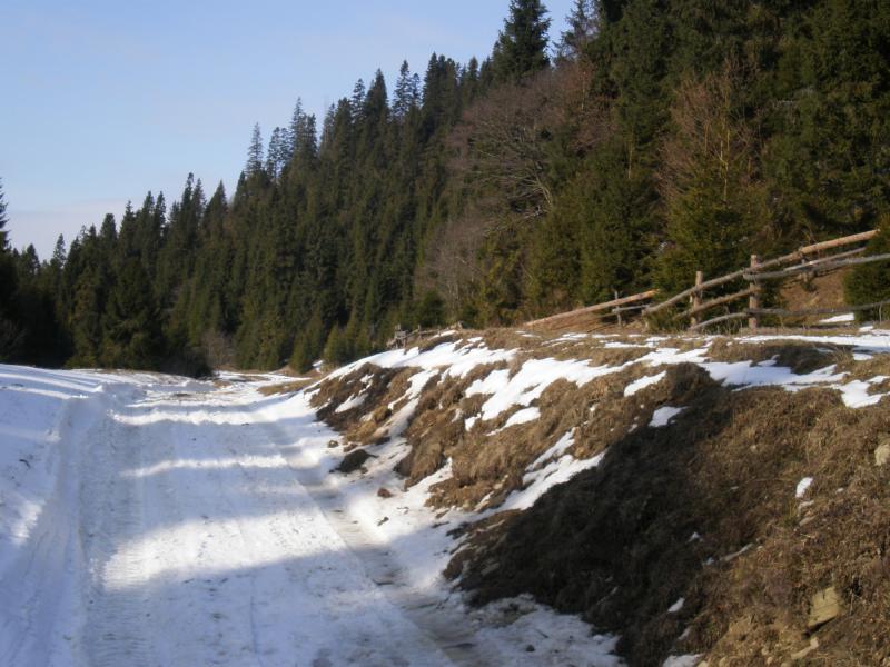 Краєвиди с.Бітля - Бітля
