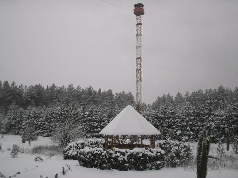 Біловізьке лісництво - Беловеж