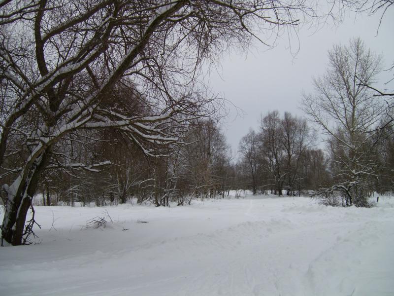 Сільські краєвиди - Гаевщина