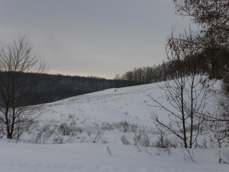 Сільські краєвиди - Гаївщина