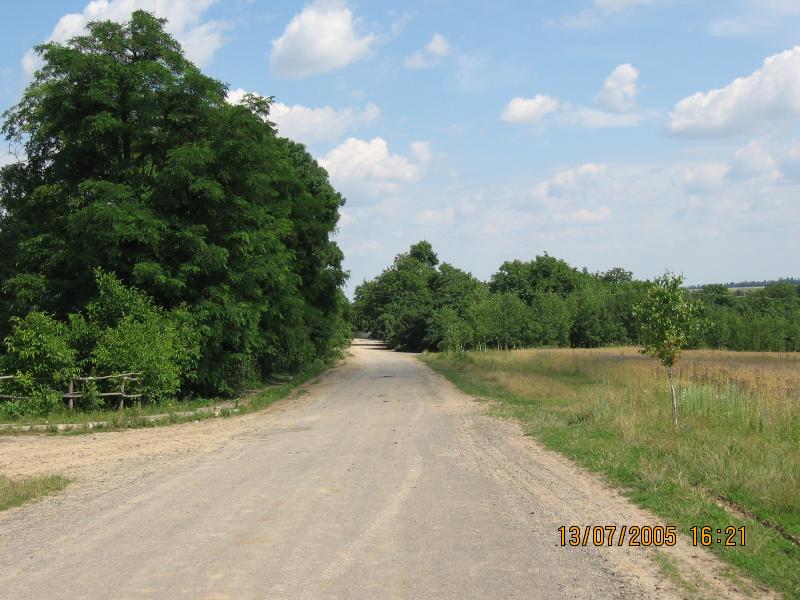 Лука 2005 - Лука-Молчанская