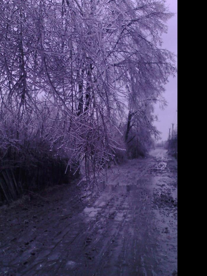 Лід в Гуничах - Gunychi