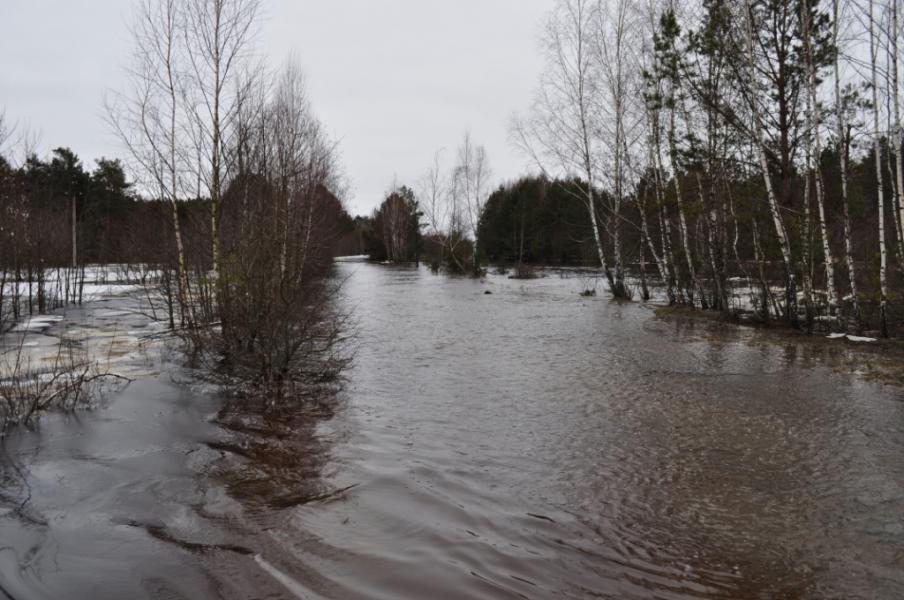 Будимля 2011 рік. - Будимля