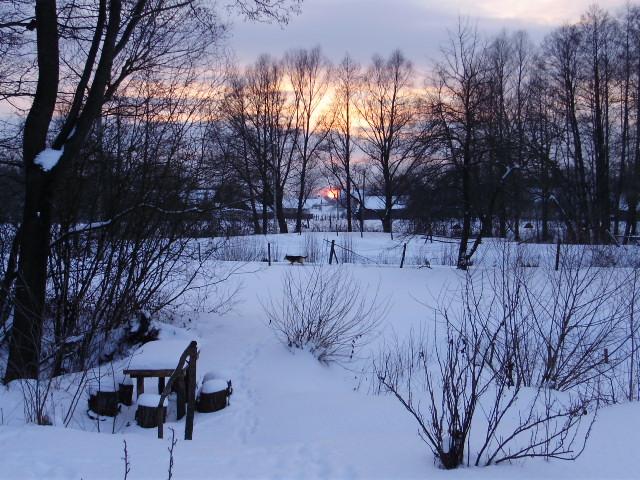 Моє рідне село - Немовичі