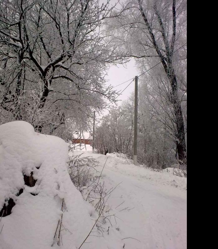 _Зимова казка - Іваниця