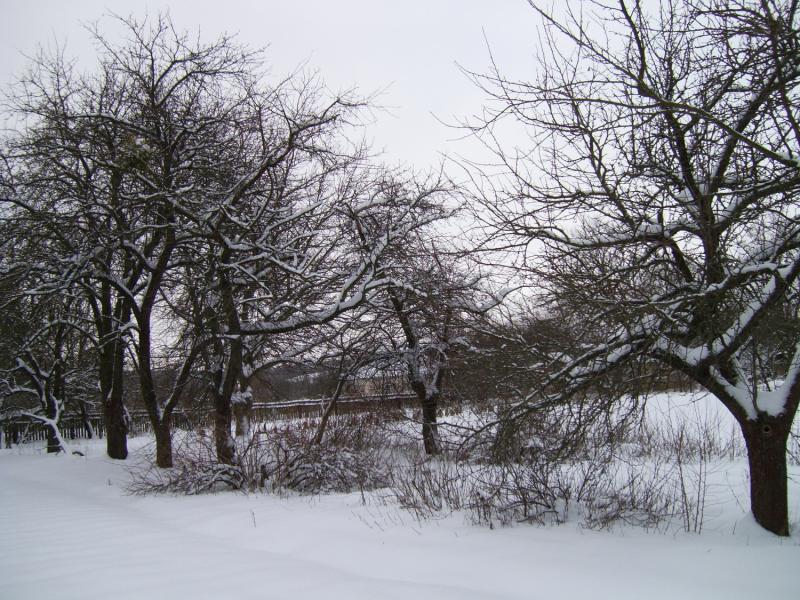 Моє рідне село - Немыльня