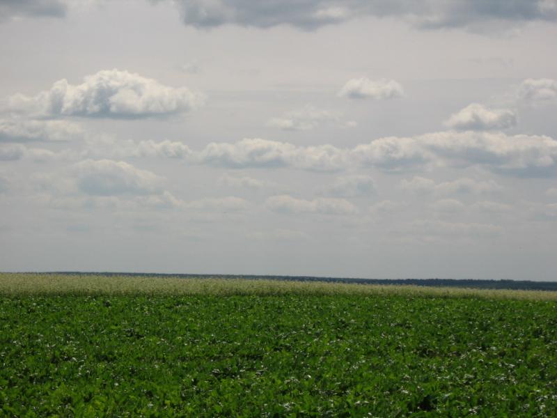 Кацмазив 2005 - Кацмазів