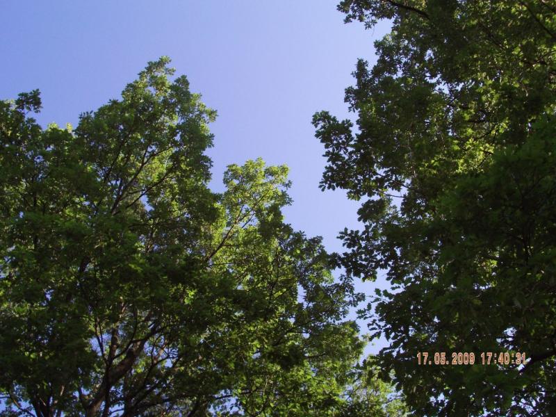 Завидово - Завидово