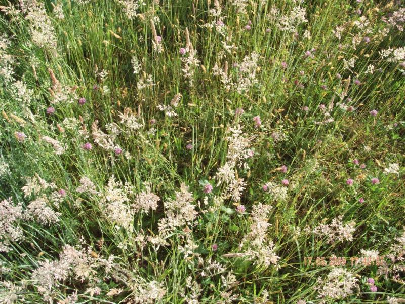 Завидово - Завидово