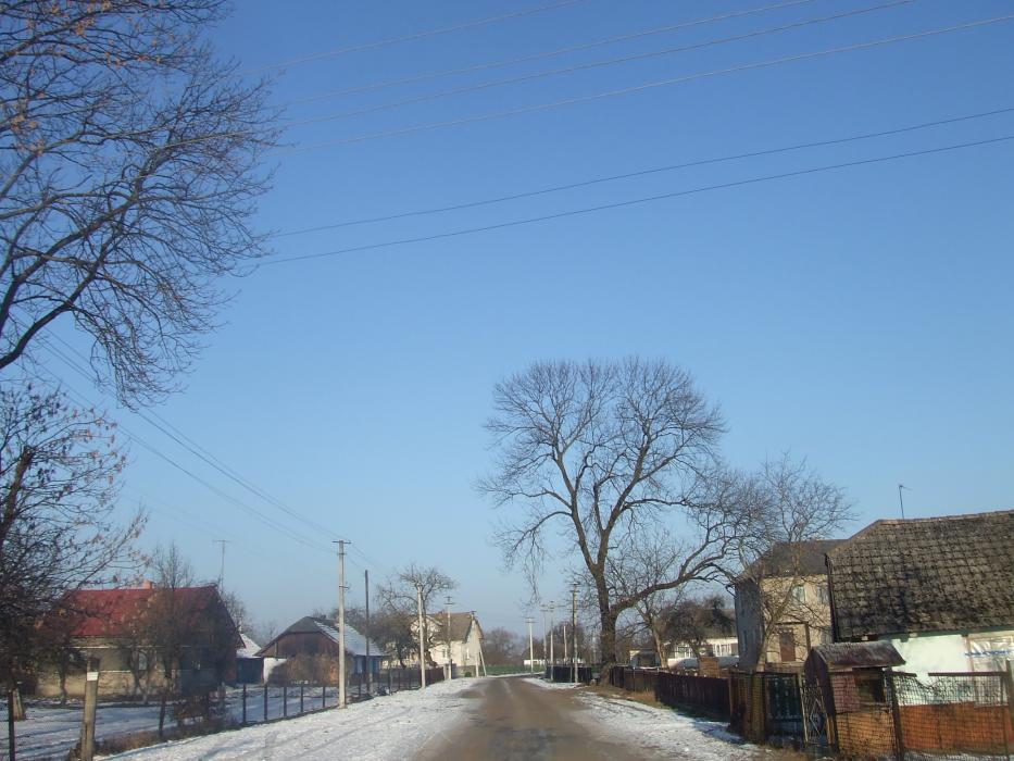 краєвид - Ходовичі