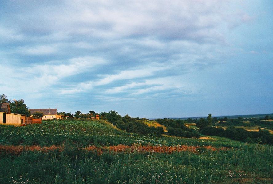 3 - Козіївка