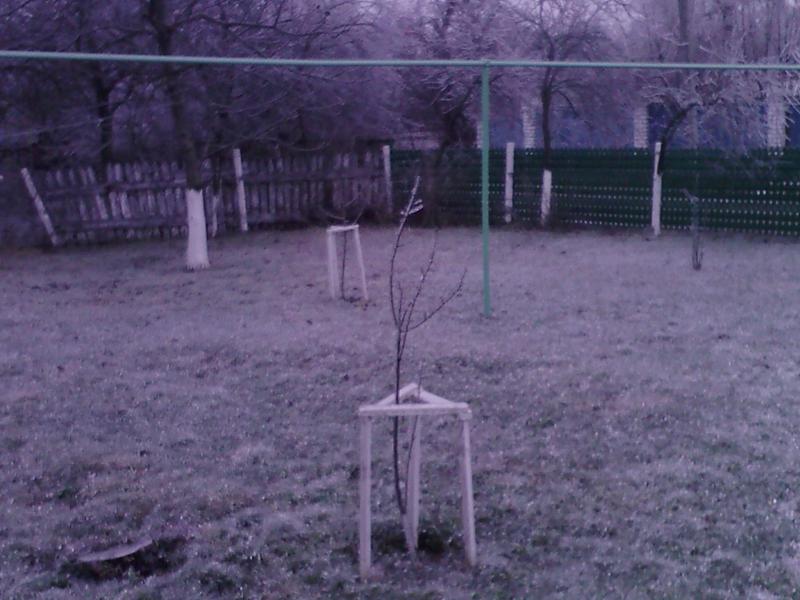 Лід в Гуничах - Гуничі