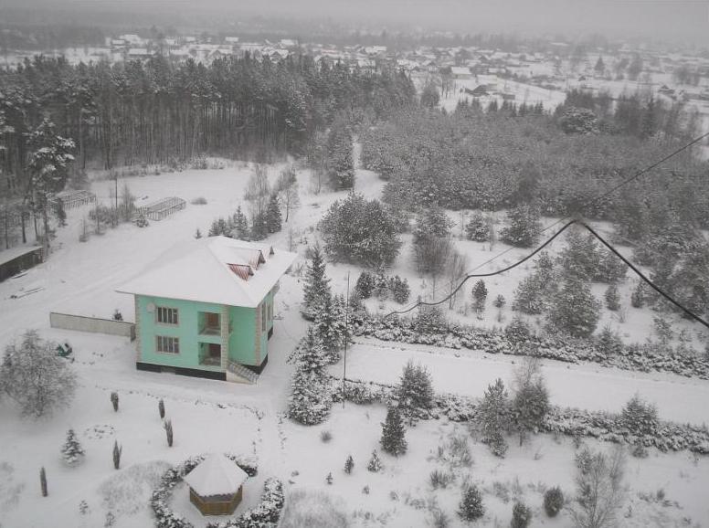 Біловізьке лісництво - Беловеж