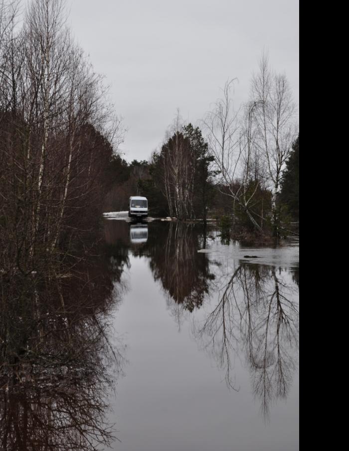 Будимля 2011 рік. - Будимля