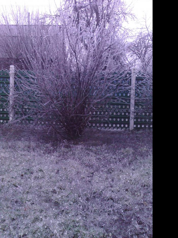 Лід в Гуничах - Гуничі
