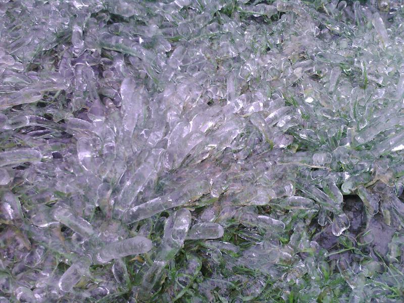 Лід в Гуничах - Гуничи