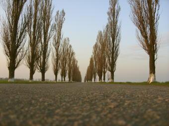 село Новоандріївка - Новоандріївка