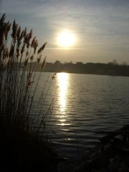 село Новоандріївка - Новоандріївка