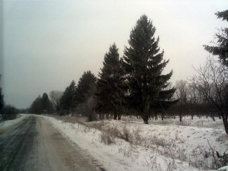 поля - Рубань