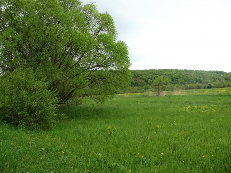 Перевозець - Перевозец
