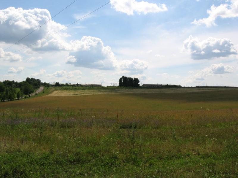 Лука 2005 - Лука-Молчанская