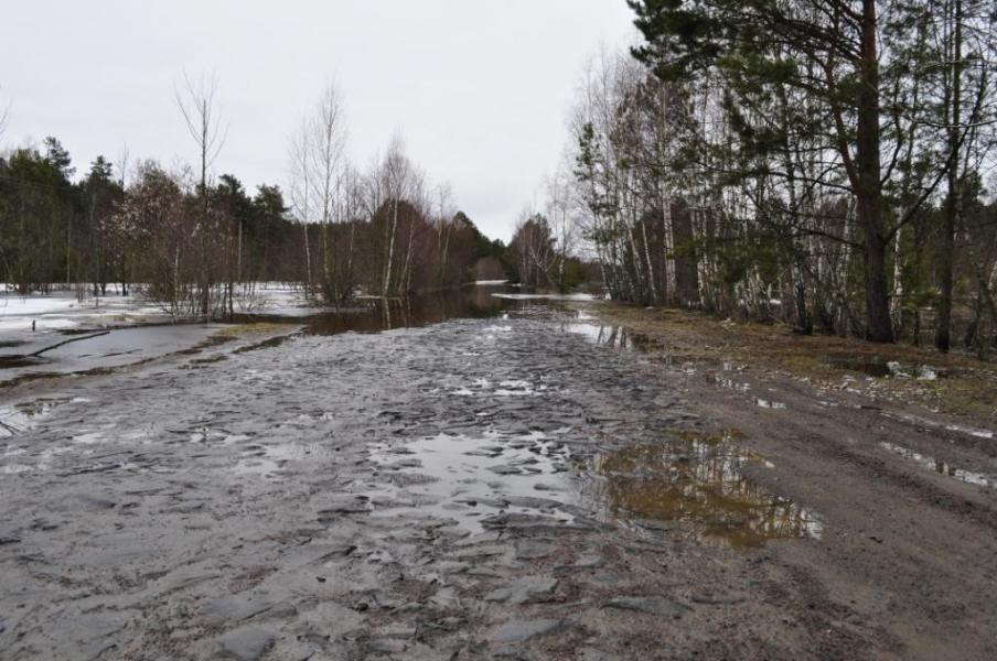 Будимля 2011 рік. - Будимля