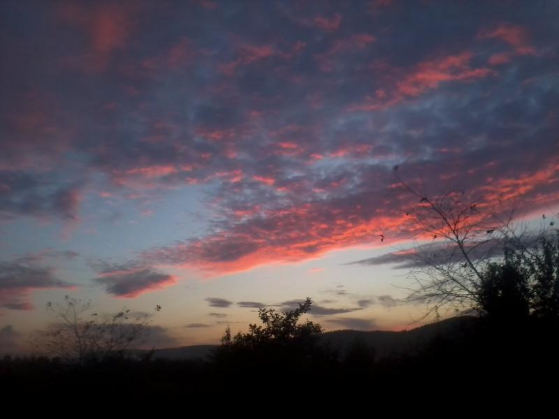 Буньковичі - Буньковичі