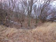 Фотогалерея 'ЗОРІ ВИТИЧ'